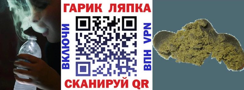 ГАШ гарик Фрязино