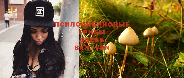 кокс Абинск