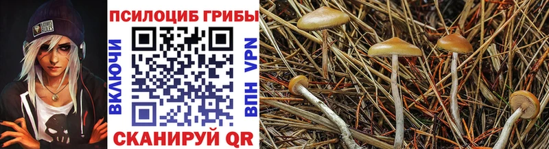 Псилоцибиновые грибы ЛСД Фрязино