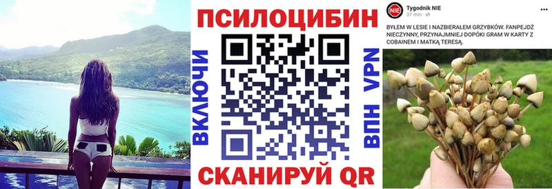 Галлюциногенные грибы мухоморы  где найти наркотики  Фрязино 